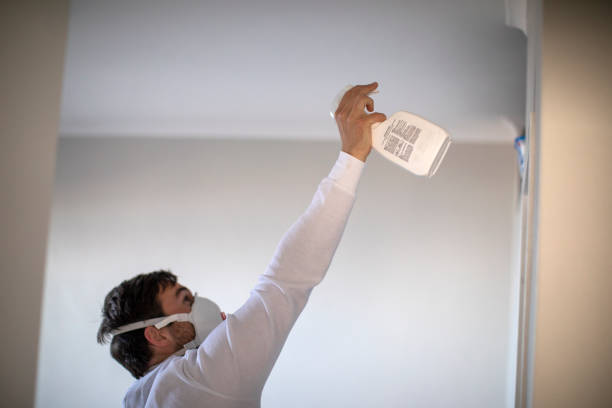 Best Insurance-Related Mold Remediation in El Campo, TX