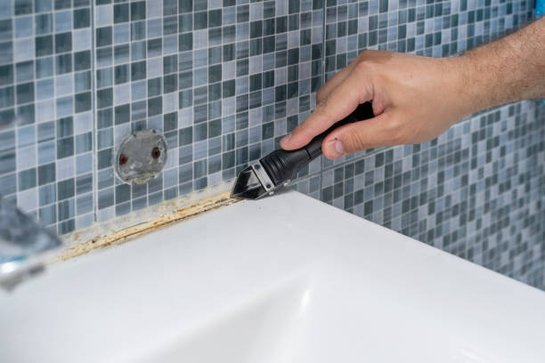 Best Bathroom Mold Remediation in El Campo, TX
